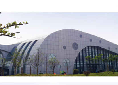 境外会议中心外景网架工程